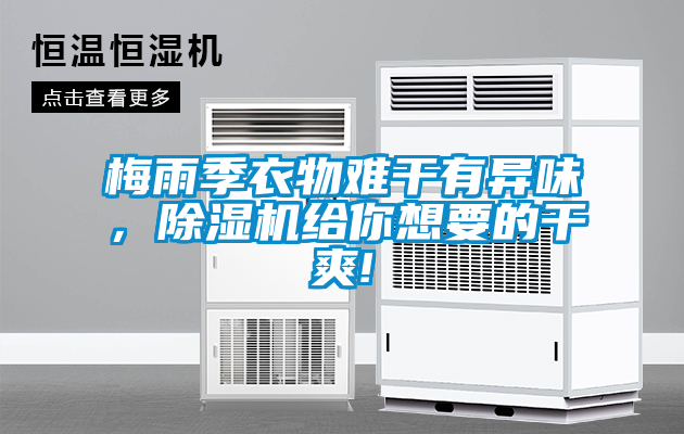 梅雨季衣物難干有異味,除濕機給你想要的干爽!