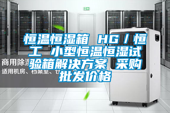 恒溫恒濕箱 HG/恒工 小型恒溫恒濕試驗(yàn)箱解決方案 采購批發(fā)價格