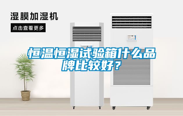 恒溫恒濕試驗箱什么品牌比較好?