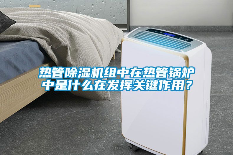 熱管除濕機(jī)組中在熱管鍋爐中是什么在發(fā)揮關(guān)鍵作用?