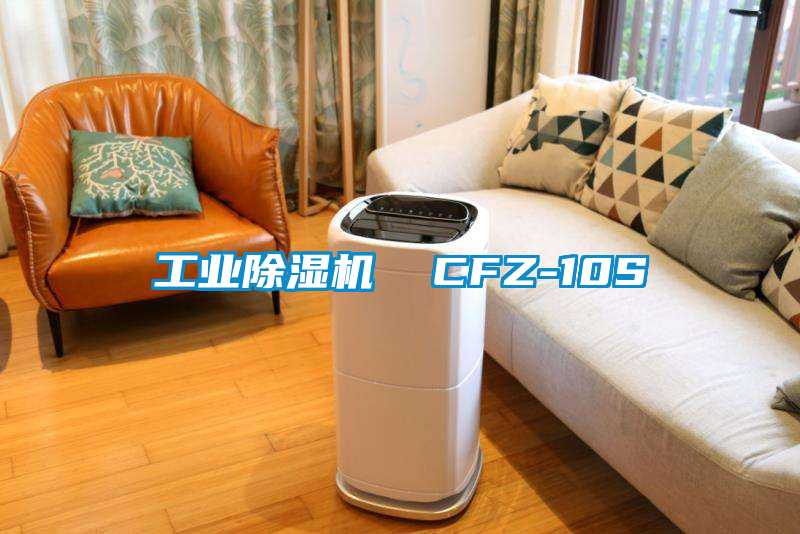 工業除濕機 CFZ-10S
