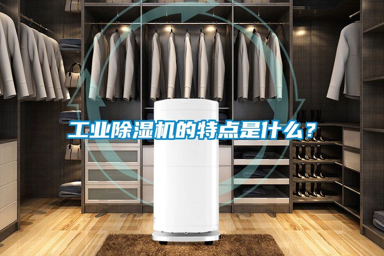 工業(yè)除濕機的特點是什么？