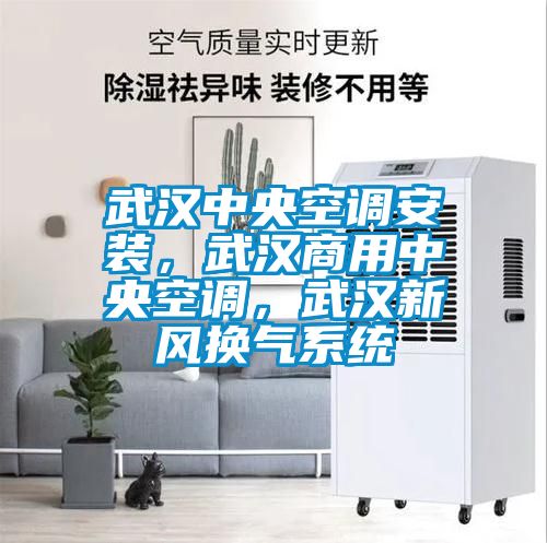 武漢中央空調安裝,武漢商用中央空調,武漢新風換氣系統