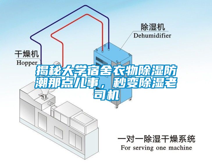 揭秘大學宿舍衣物除濕防潮那點兒事，秒變除濕老司機