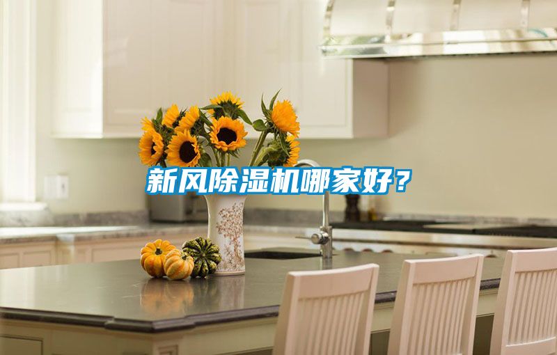 新風除濕機哪家好?