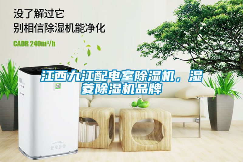 江西九江配電室除濕機,濕菱除濕機品牌