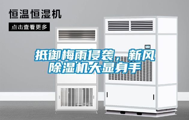 抵御梅雨侵襲,新風(fēng)除濕機(jī)大顯身手