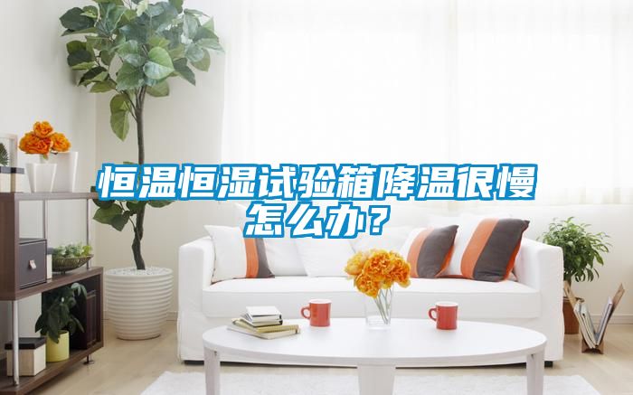 恒溫恒濕試驗箱降溫很慢怎么辦?