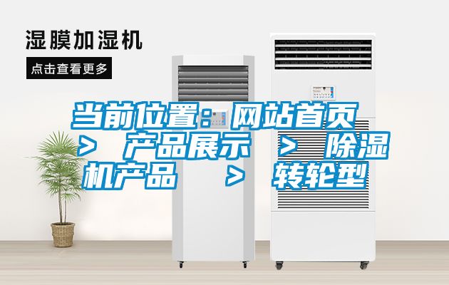 當前位置:網站首頁 > 產品展示 > 除濕機產品 > 轉輪型