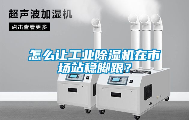 怎么讓工業除濕機在市場站穩腳跟？