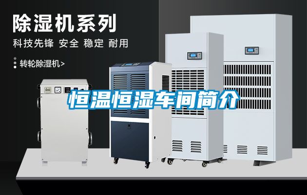 恒溫恒濕車間簡介