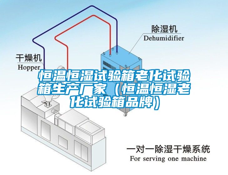 恒溫恒濕試驗箱老化試驗箱生產廠家(恒溫恒濕老化試驗箱品牌)