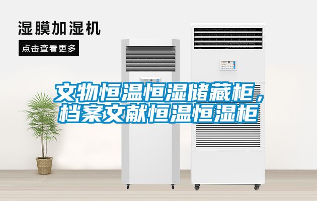 文物恒溫恒濕儲藏柜,檔案文獻恒溫恒濕柜