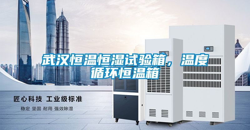 武漢恒溫恒濕試驗箱，溫度循環恒溫箱