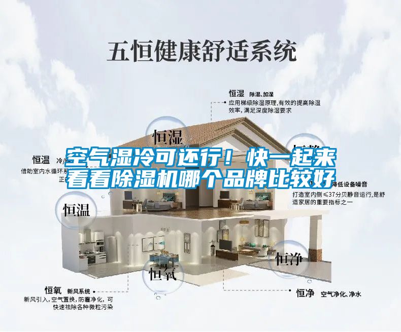 空氣濕冷可還行!快一起來看看除濕機哪個品牌比較好