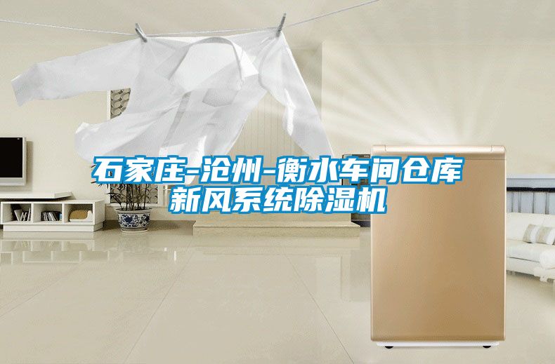 石家莊-滄州-衡水車間倉(cāng)庫新風(fēng)系統(tǒng)除濕機(jī)
