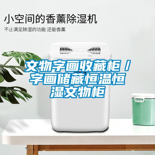 文物字畫收藏柜/字畫儲藏恒溫恒濕文物柜